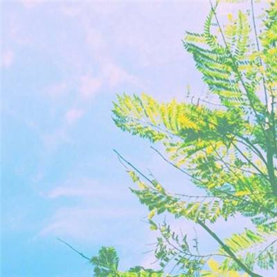 俄罗斯索契市一油库遭无人机袭击