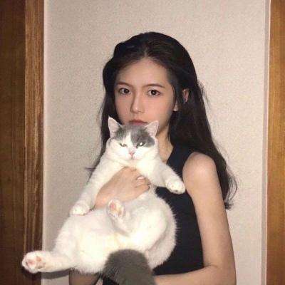圣剑情缘游戏下载
